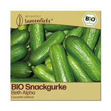BIO Gurken Samen Sorte Beth