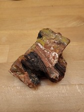 Versteinertes Holz Dendrolith Fossiles Holz 12x10x 6cm Heilstein 661g