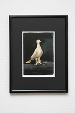 PABLO PICASSO: "Taube",1942 