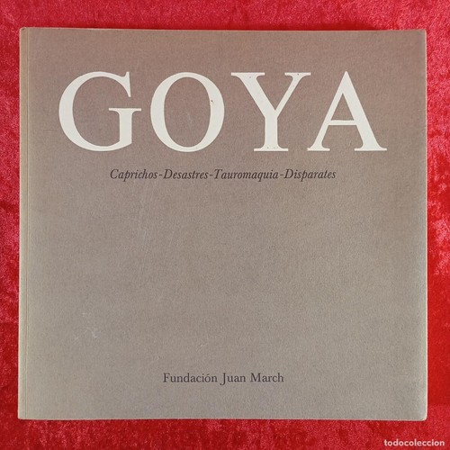 Libro goya - libro,