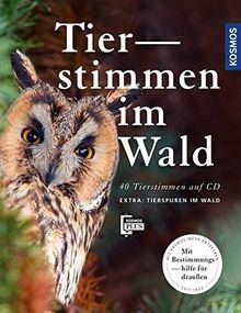 Tierstimmen wald - tierstimmen, im