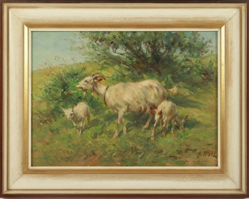 Georg wolf 1882 ziegen - wolf,