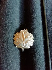 Eichenlaub zum Ritterkreuz RK