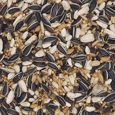 Versele Großsittiche Standard Prestige 20kg