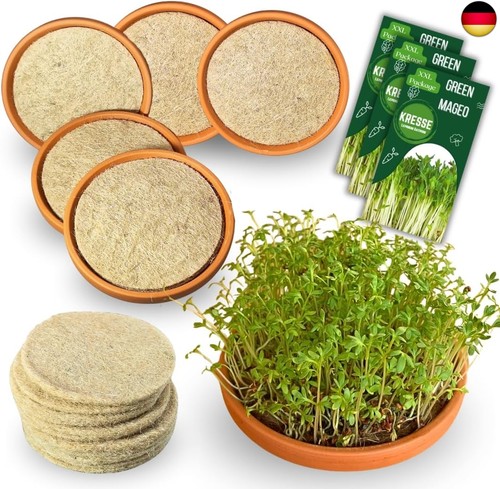 Neu xxl green mageo kresse - green,