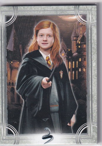 Panini harry potter welcome - harry, to