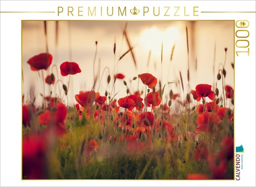 Calvendo puzzle mohnblumen - puzzle, im