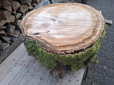 DEKO Holzscheibe Wildkirsche