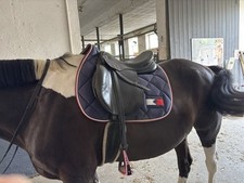 Prestige Elastic Professional Springsattel 17 Zoll