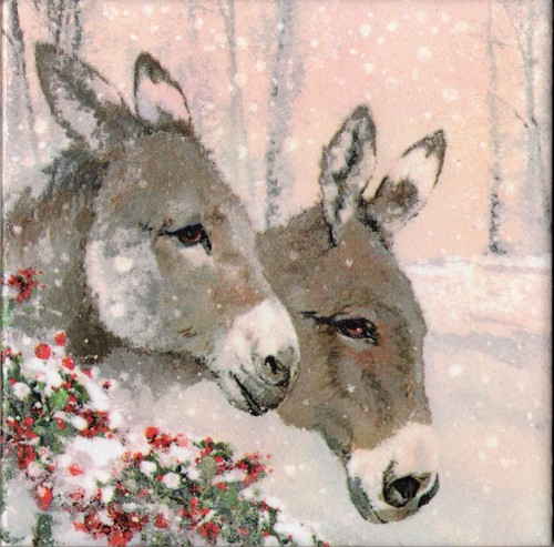 Dekobild esel winter - ,