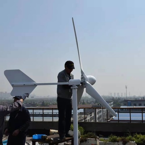 48v 220v windgenerator - 48v,