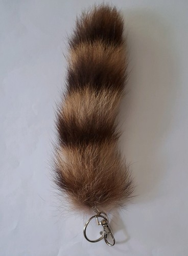 Waschbär schweif schlüssel - schweif,