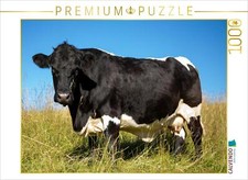 CALVENDO Puzzle Eine Pinzgauer