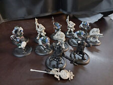 Warmachine Hordes Trollkin Scattergunner mit Offizier und Standarte UA Metall