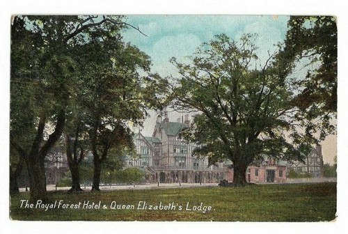 Das royal forest hotel - forest, und