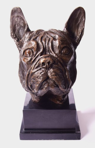 Bronzefigur büste bulldog - bronzefigur,