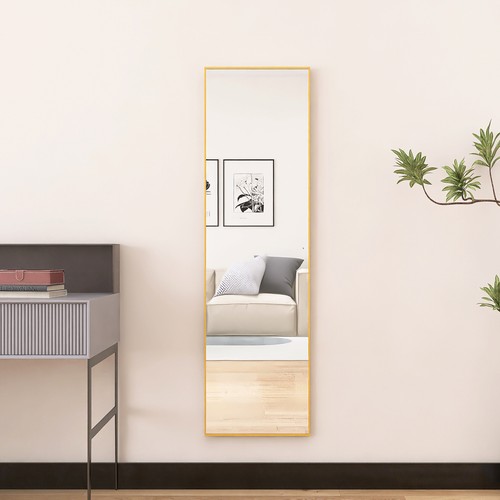 Ganzkörperspiegel 140 40cm - ganzkörperspiegel, 140*40cm