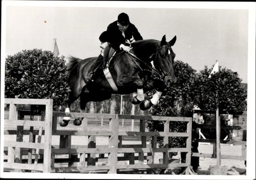 Foto springreiten sprung - foto,