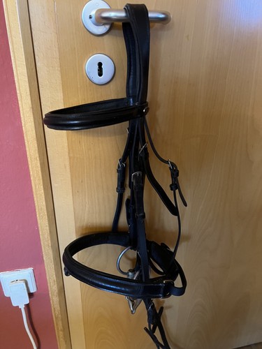 Trense größe warmblut mit - größe,