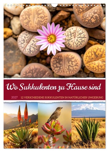 Sukkulenten hause sind - wo,