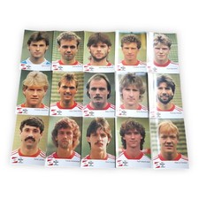 Bayer 04 Leverkusen Autogrammkarten 1988 1989 Ansichtskarten AK 15 Stück TSV