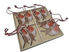 8x 6cm Rotkehlchen