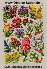 DDR Blumen  (1)  ohne Nummer
