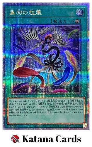 Yugioh karten schwarzer - yugioh-karten, |