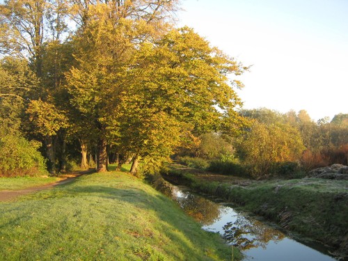 Mattes fotopapier für - fotopapier,