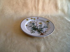 2 Stück V&B Speiseteller