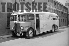 35mm Negativ Alexander