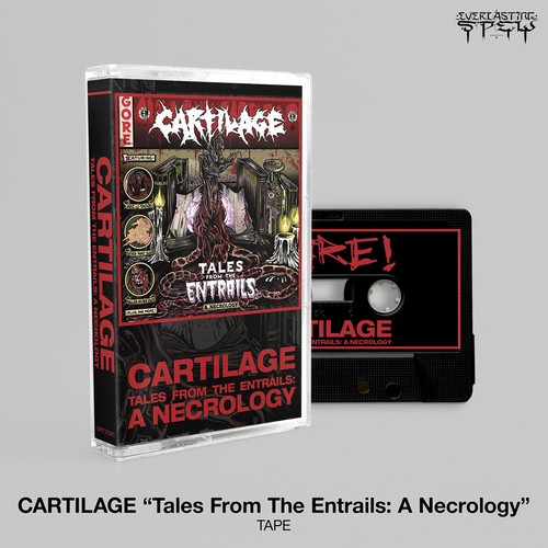 Cartilage tales from the - from,