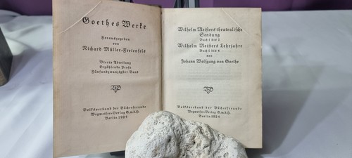 Goethe wilhelm meisters - wilhelm,
