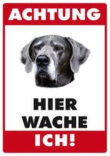 Attention dogge labrador fun - labrador,