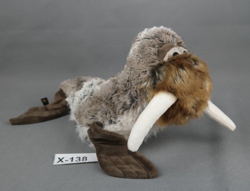 Sigikid beasts 39863 genau - sigikid,