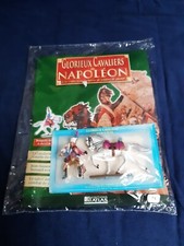 Glorreiche ritter napoleons - napoleons,