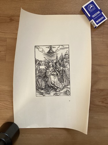 Albrecht dürer druck - dürer,