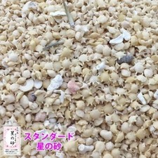 Sternensand 100g Ishigaki