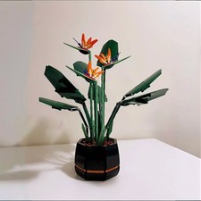 NEU* 10289 Paradiesvogel