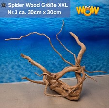 👋XXL Moorkien - Spiderwood