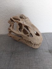 Totenkopf Tyrannosaurus Rex