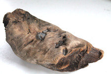 Schwemmholz Treibholz Skulptur