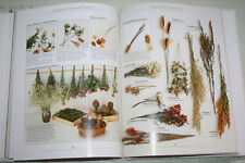 Fachb. Trockenblumen Kränze Floristik Trockensträuße Gestecke Florist Floristin