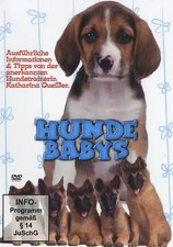 Hundebabys