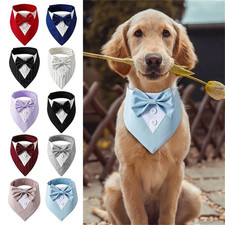 H Hunde Hochzeit Schal Bandana