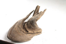 Schwemmholz Treibholz Skulptur