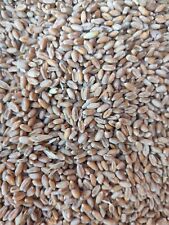 Verkaufe 25Kg Weizen für Geflügel und Nager (Futterweizen)