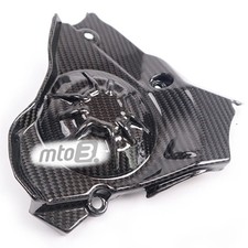 Carbon Ritzelabdeckung für