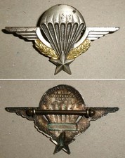 Abzeichen Fallschirmspringer