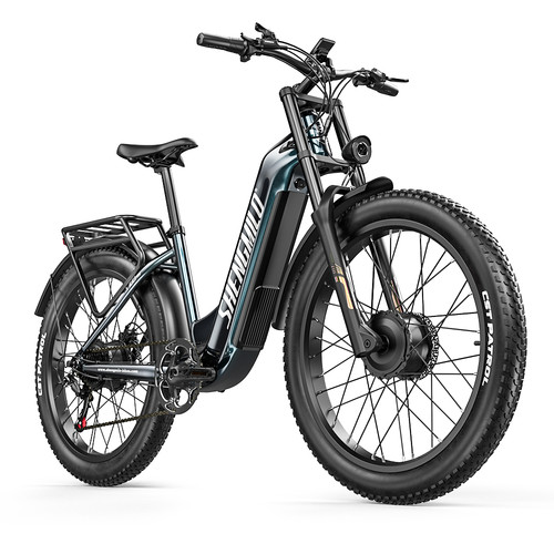 2000w elektrofahrrad dual - 26",